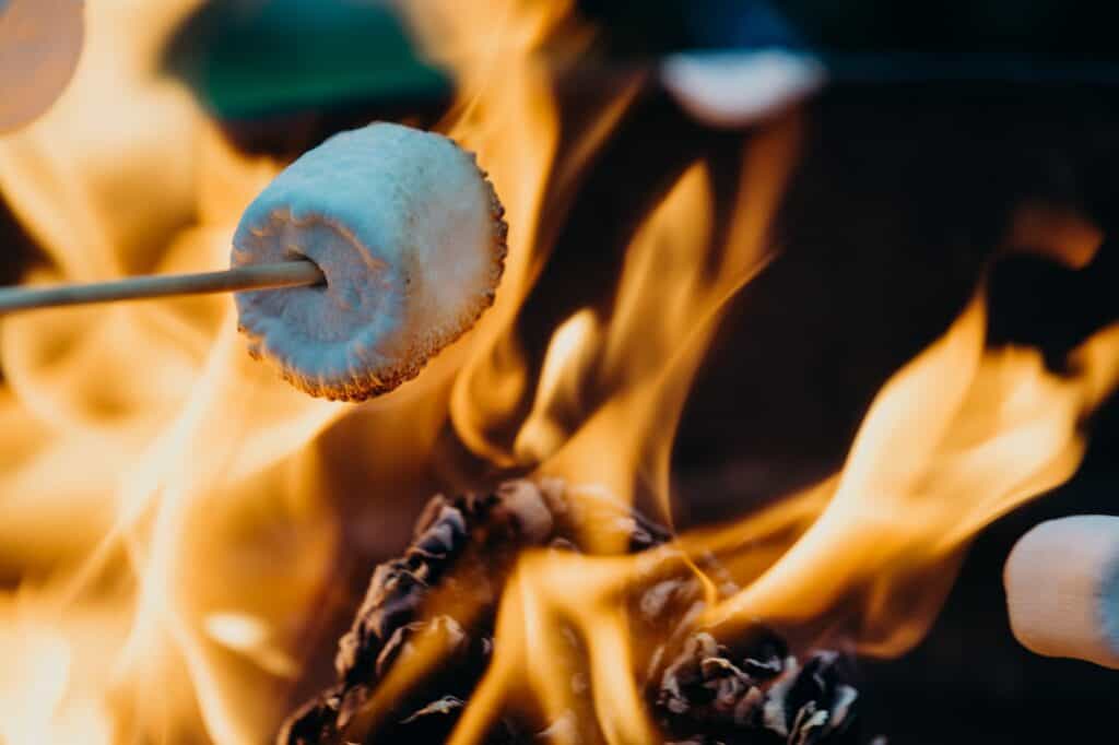 person barbecuing marshmallow