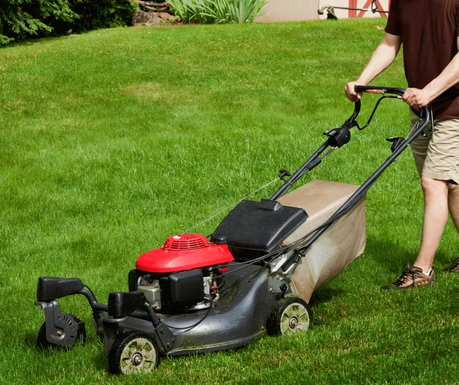 Self Propelled vs Push Lawn Mower Which is Right for You? Backyards