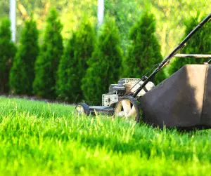 self propelled vs push lawn mower