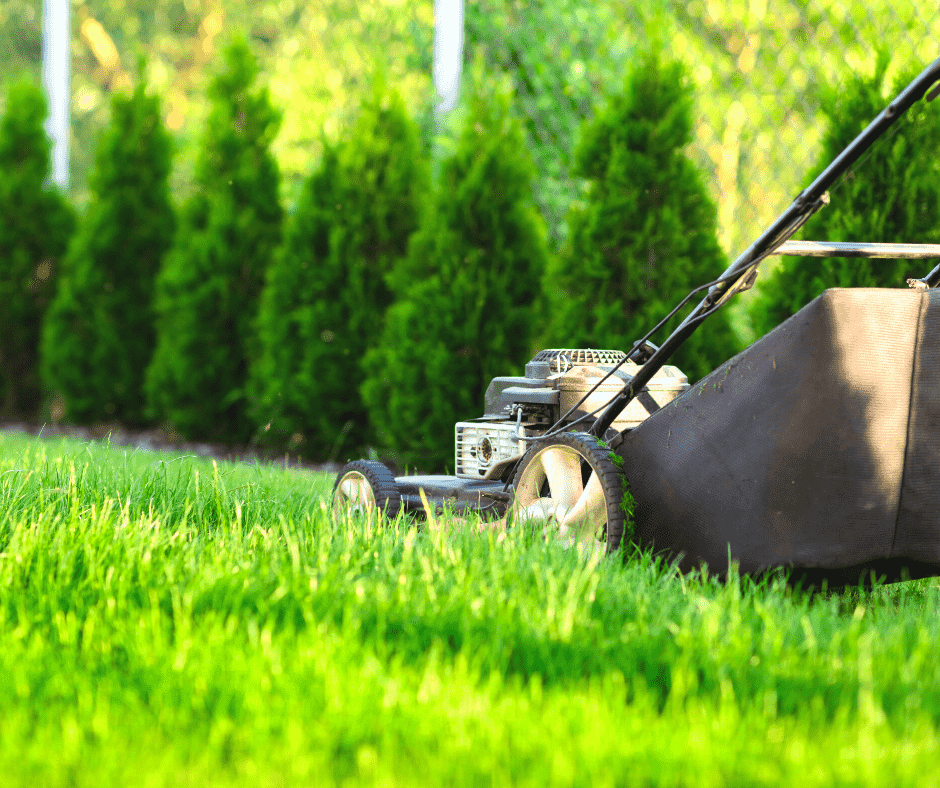 Self Propelled vs Push Lawn Mower: Which is Right for You? - Backyards ...