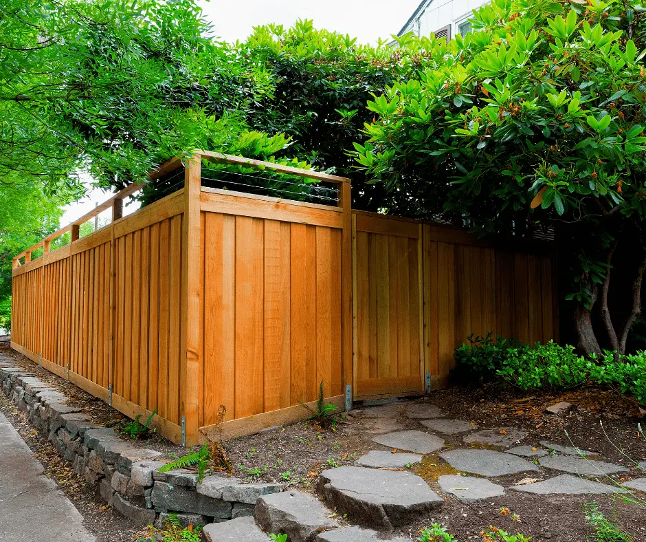 when to stain a new cedar fence