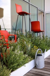 red and white chair beside green plants