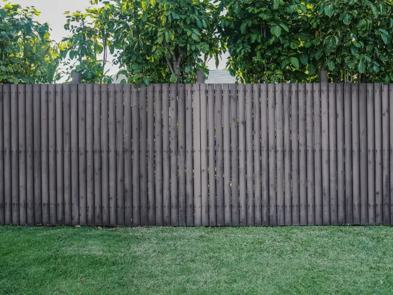 Black Fence Ideas Transforming Your Outdoor Space with Style