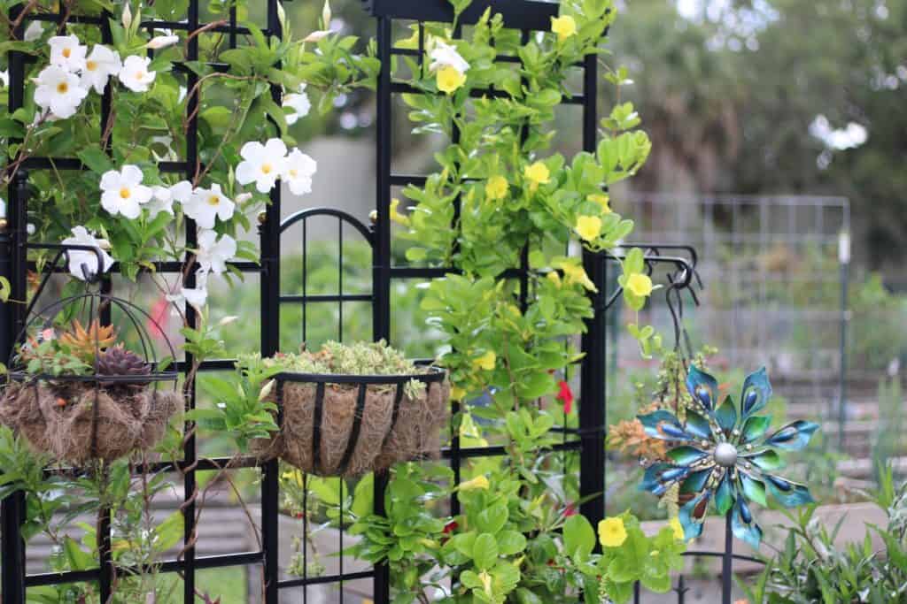 a table with flowers and chairs, trellis ideas for garden