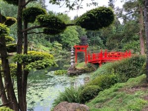 Japanese Style Garden Ideas