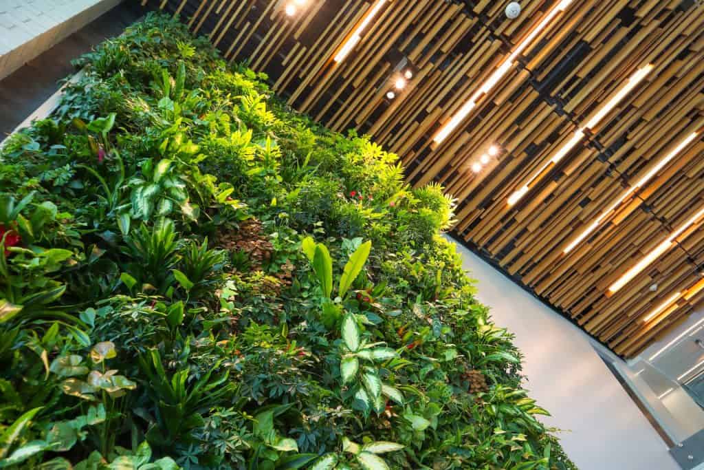 green plants on white concrete floor, living wall