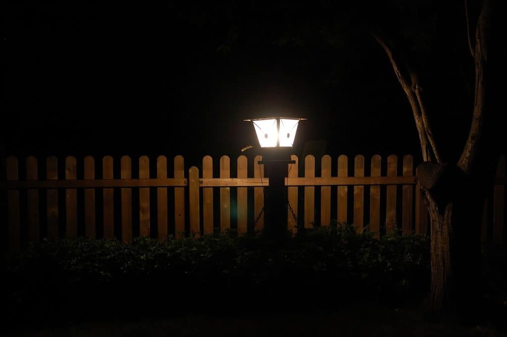 garden, at night, lantern