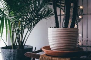 pottery ideas for the garden