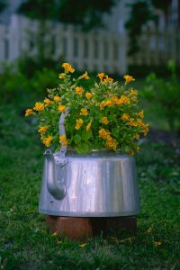 yellow flowers in gray vase on green grass field