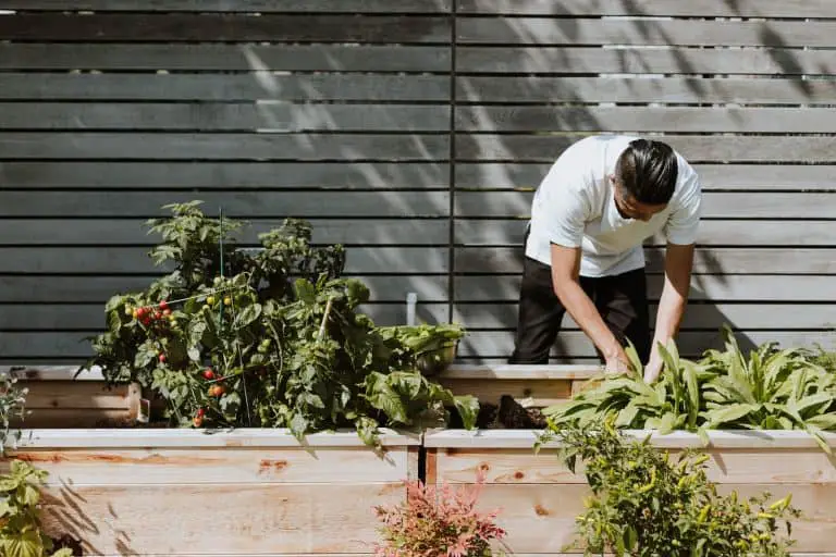 what to put in outdoor planters besides flowers