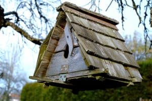 Maintaining Your Birdhouse