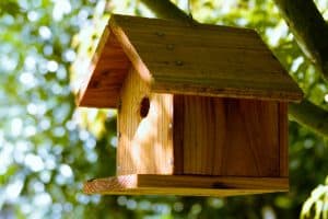 birdhouse installation