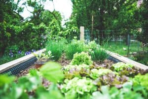 sustainable backyard garden designs