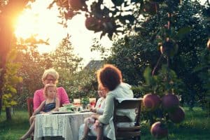 Growing Apple Trees