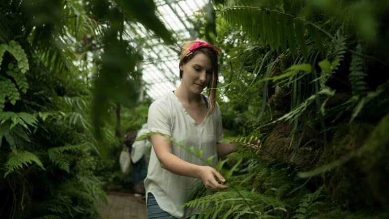 mindful plant care