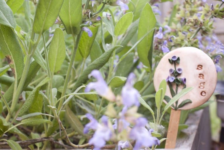 homemade garden markers