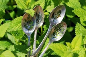 Garden Herb Spoon Markers